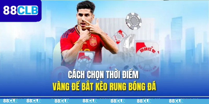 Top 3 Thời Điểm Bắt Kèo Rung Hiệu Quả